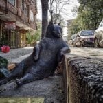 الإقلاع عن التدخين: دليل عملي نحو حياة أنظف